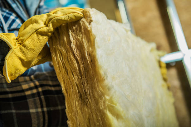 Best Insulation Removal  in Edgewood, PA
