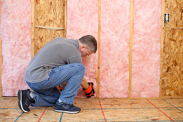 Best Soundproof Insulation Installation  in Edgewood, PA
